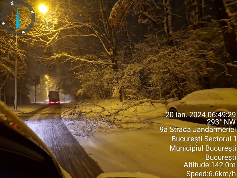 Curți inundate, copaci prăbușiți și drumuri naționale blocate, în ultimele 24 de ore, în România 18880534