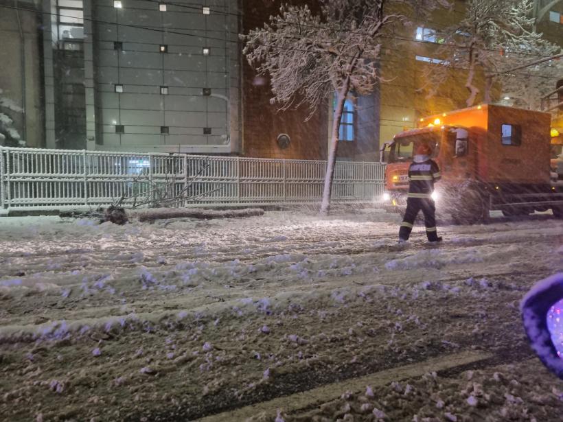 Curți inundate, copaci prăbușiți și drumuri naționale blocate, în ultimele 24 de ore, în România 18880535