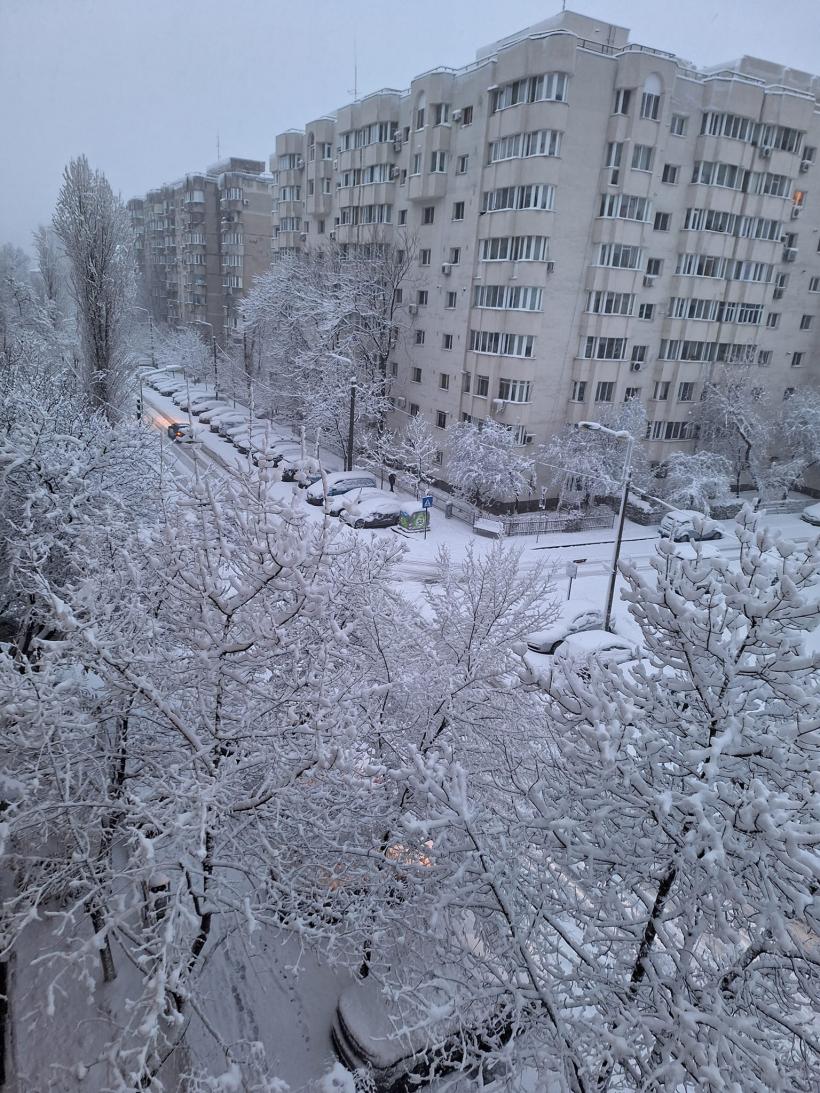 Tramvaie deraiate și circulație îngreunată în București. Autoritățile nu au deszăpezit străzile. Va continua să ningă în Capitală. Stratul de zăpadă va ajunge la 17 centimetri 18880516