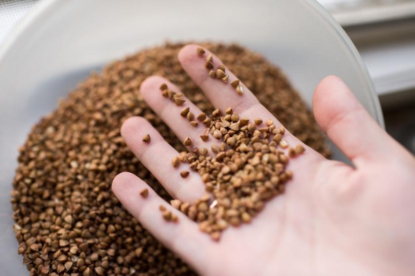 Alternative la făina de grâu: quinoa, amarantul și hrișca