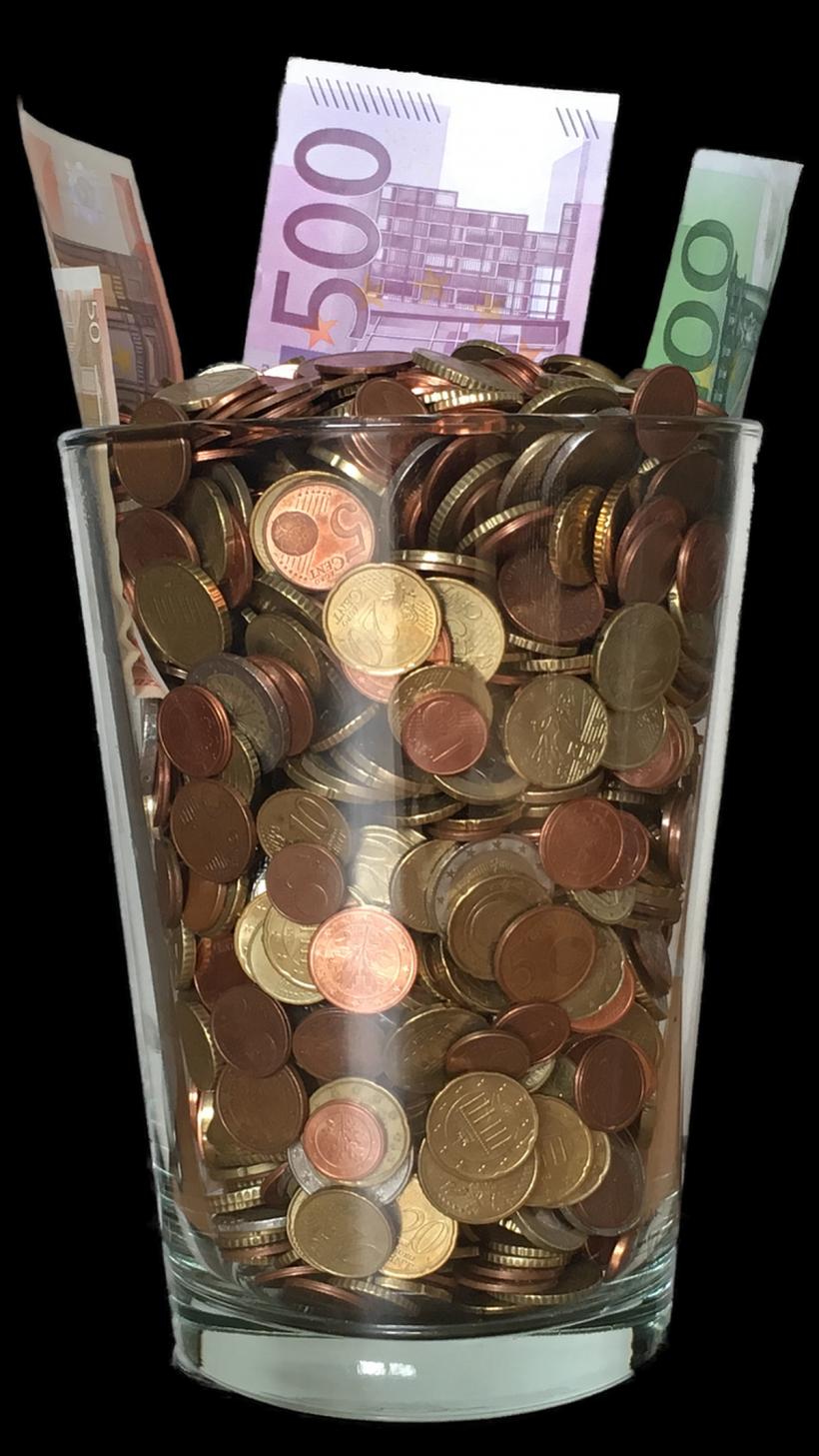 Bulgaria ne-a luat față: Leva se face euro, leul, ținut la gard 18880844