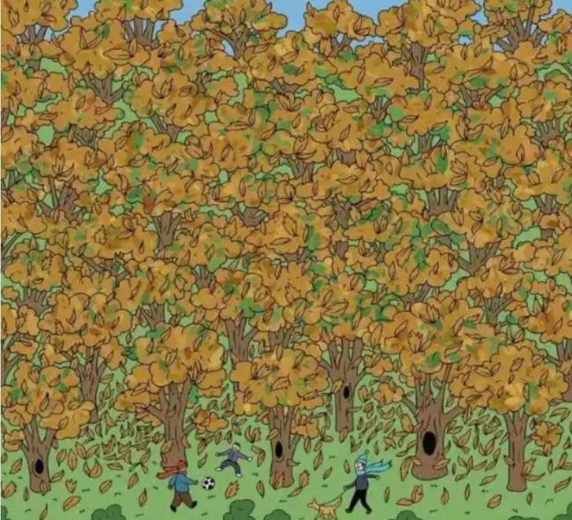 Test IQ. Găsește veverița din imagine în 9 secunde 18881019