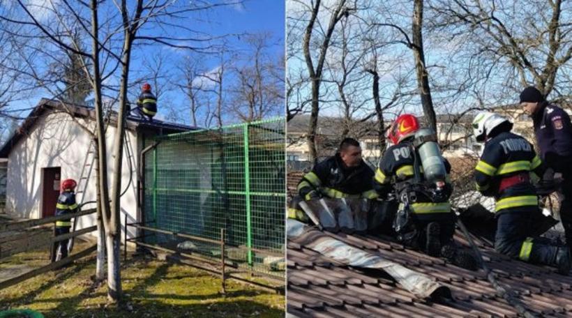  Incendiu la grădina zoologică din Râmnicu-Vâlcea! Animalele au fost evacuate
