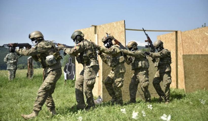 Recrutări în Armata Română. Condiții pentru luptătorii din trupele speciale 18882090