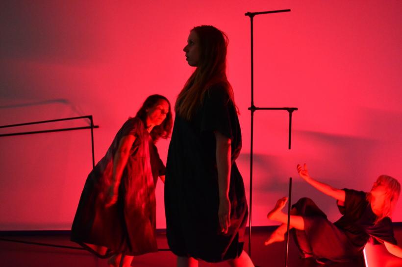 Viitorul artelor performative, la legătura dintre dans și tehnologie, explorat într-un Dance Hack în Finlanda, Ungaria și România 18882003