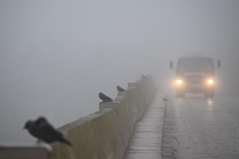 Ceață densă în 4 județe din țară. Manevrele în portul Constanța Sud-Agigea, sistate