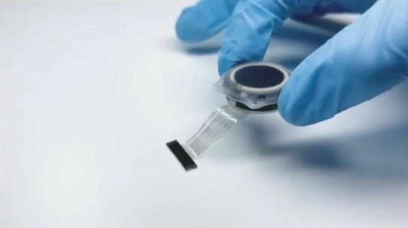 FrankenMusk: „S-a născut un cyborg!” Cipul cerebral „Neuralink”, testat pe om 18882178