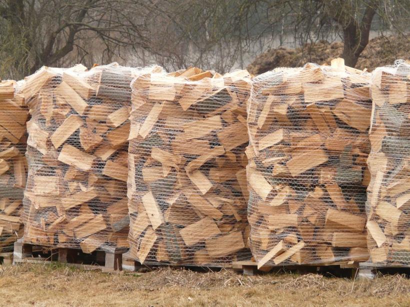 Industria lemnului începe protestele de stradă din 8 februarie