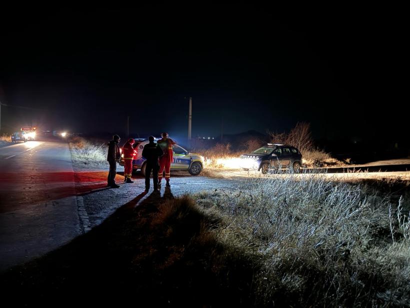 Premieră în istorie: Alertă de urs la Brăila. Zeci de oameni caută animalul ajuns în Câmpia Bărăganului 18882786