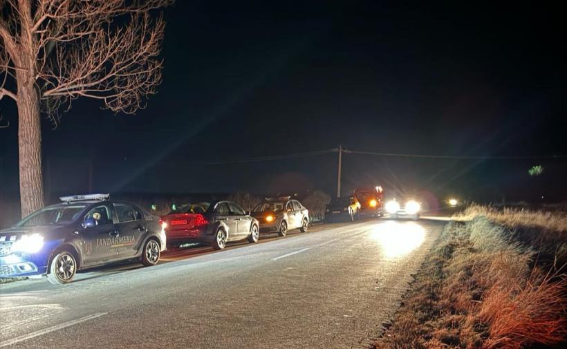 Premieră în istorie: Alertă de urs la Brăila. Zeci de oameni caută animalul ajuns în Câmpia Bărăganului 18882787