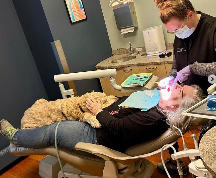 Frica de dentist, alungată de cățelul Ollie. Patrupezii scad nivelul hormonului de stres la oameni 18882758