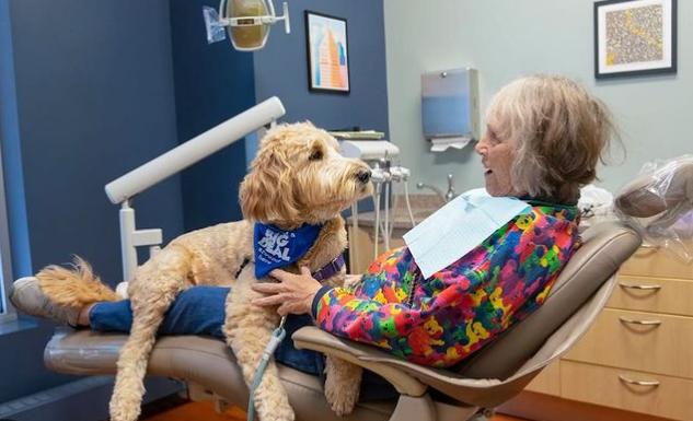 Frica de dentist, alungată de cățelul Ollie. Patrupezii scad nivelul hormonului de stres la oameni 18882759