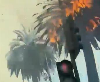 Incendii de vegetație în Chile. Cel puțin 19 oameni au murit într-un oraș turistic