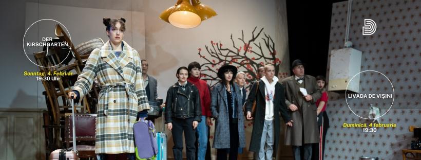 Decorul a căzut peste angajați la Teatrul German din Timișoara. Trei persoane au fost rănite. Actrița Olga Torok a ajuns la spital 18882995