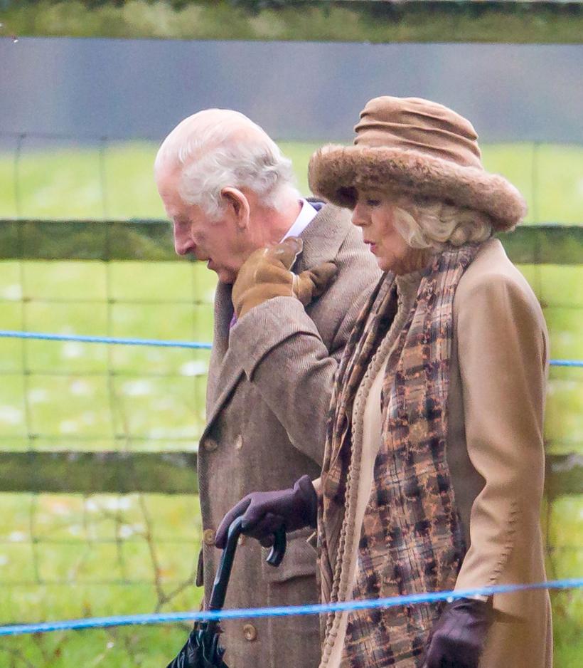 Regele Charles are cancer 18883166