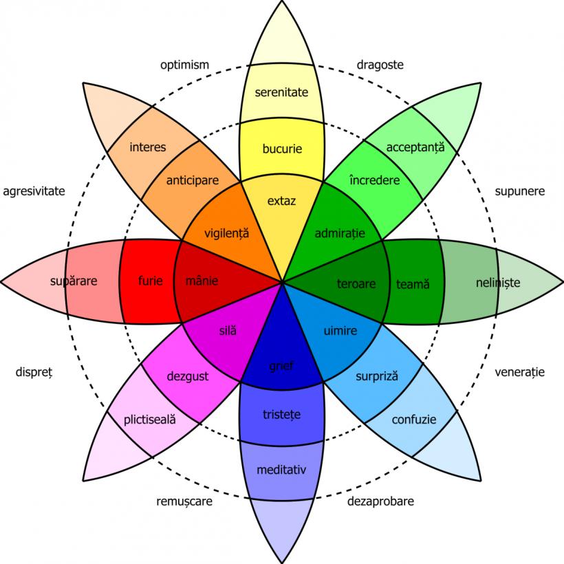 Emoțiile - 6 trăiri care ne conduc viața 18882918