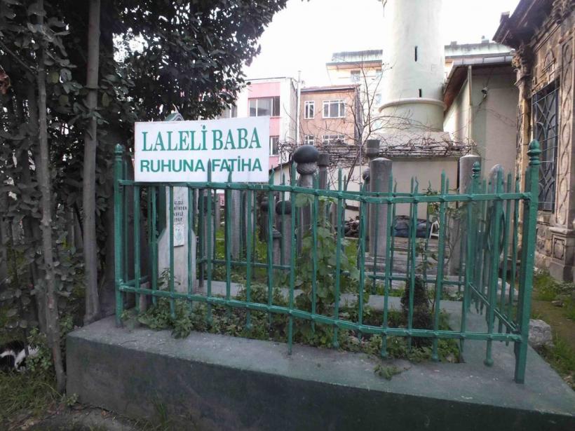 Laleaua - cum a ajuns „parfumul” ei în limba română 18883066