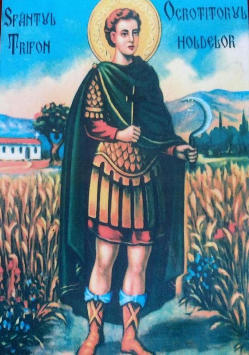 Laleaua - cum a ajuns „parfumul” ei în limba română 18883069