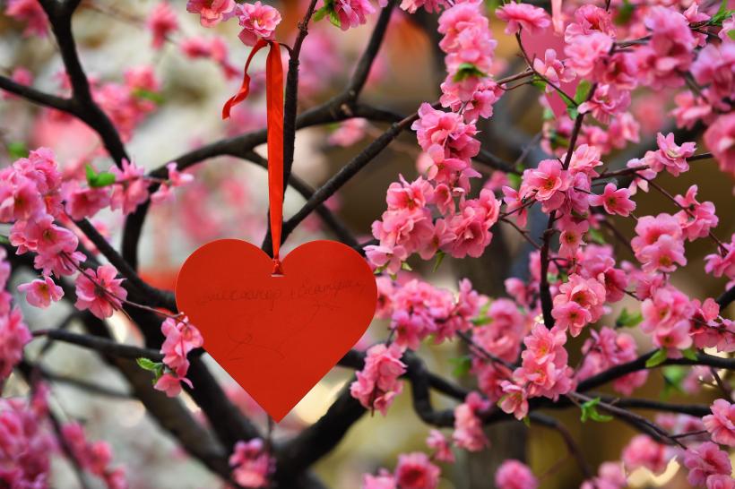 Prognoza pentru următoarele 4 săptămâni: cum va fi vremea de Ziua Îndrăgostiților și de Dragobete 18883199