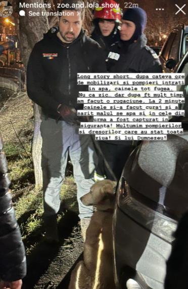 Câinele unui actor celebru al scenei romanești, salvat de pe lacul înghețat din Mogoșoaia 18883414