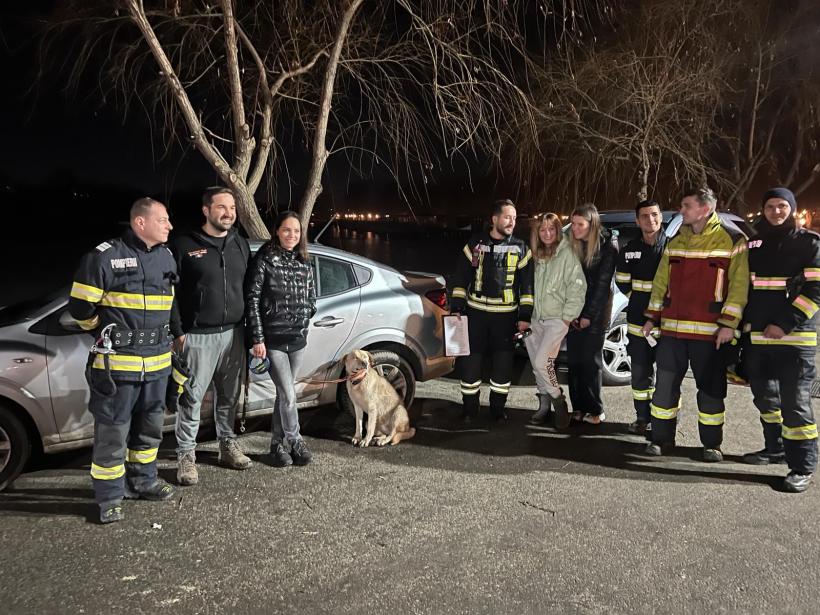 Câinele unui actor celebru al scenei romanești, salvat de pe lacul înghețat din Mogoșoaia 18883415