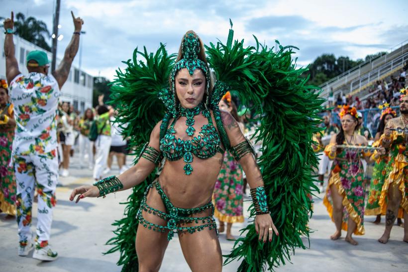 Carnavalul de la Rio, amenințat de țânțari 