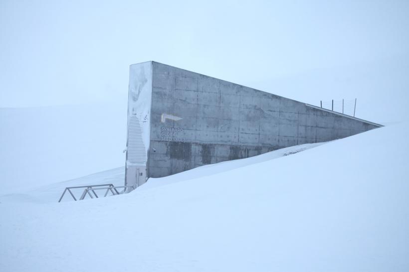 Situație inedită. Într-un oraș din Europa sunt interzise nașterile. Ce se întâmplă cu morții 18883457