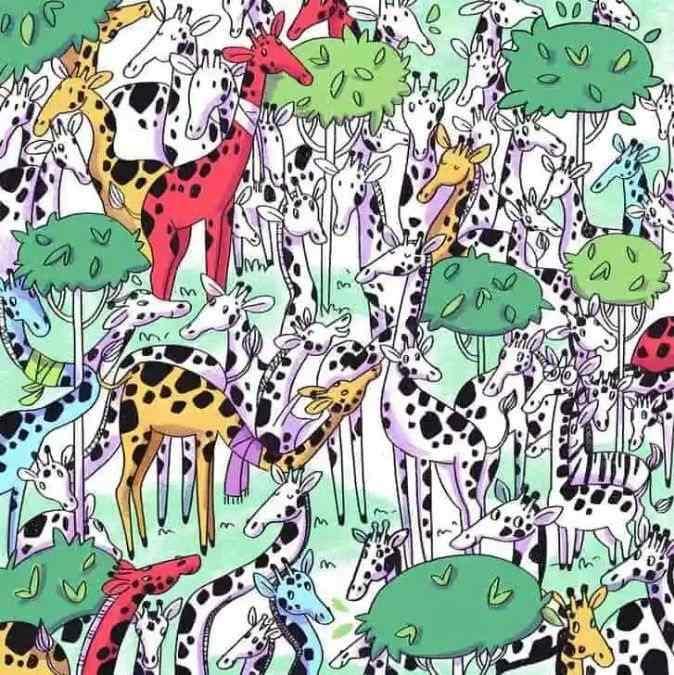 Test de inteligență. Găsește zebra ascunsă printre girafe 18883438