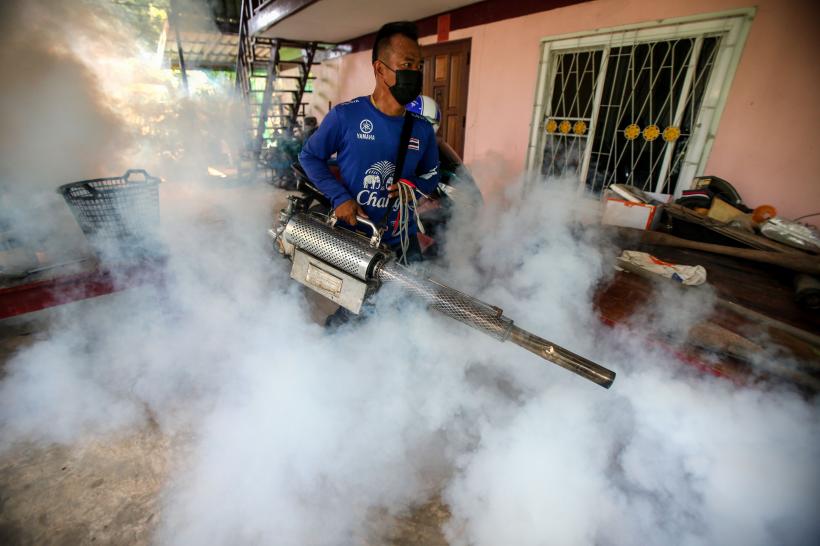 Febra dengue bagă Brazilia în stare de urgență. Boala este transmisă de țânțari