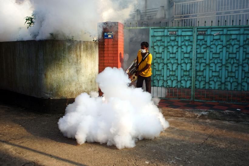 Febra dengue bagă Brazilia în stare de urgență. Boala este transmisă de țânțari 18883580