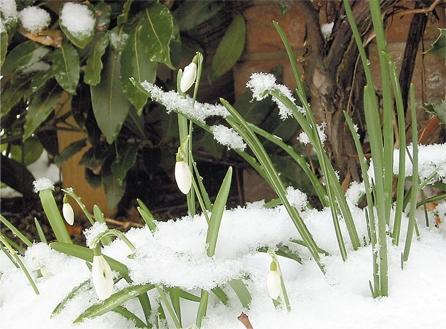 Ianuarie - cea mai caldă lună înregistrată vreodată în lume 18883588