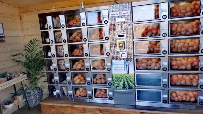 Cum a instalat un fermier primul automat de cartofi din România