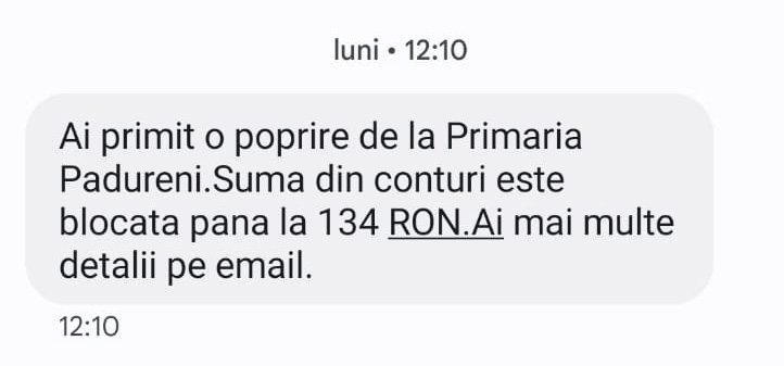 Abuzuri incredibile ale autorităților din Vaslui. Poprire pe contul unui român după ce a criticat primăria. Tatăl său a fost călcat în picioare de polițiști 18883806