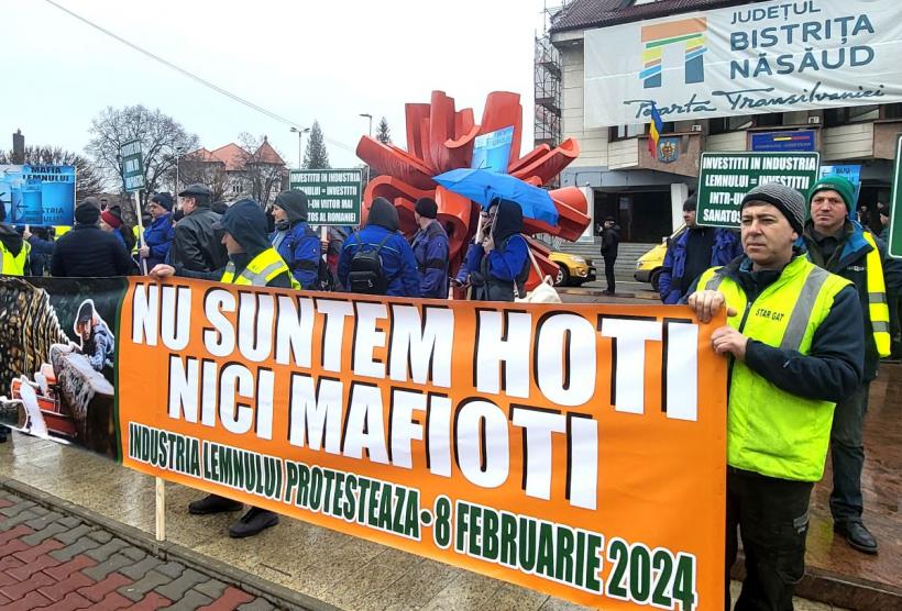 Dispare mobila românească. Milioane de metri cubi de lemn au dispărut din piață. Prețurile au explodat 18883701