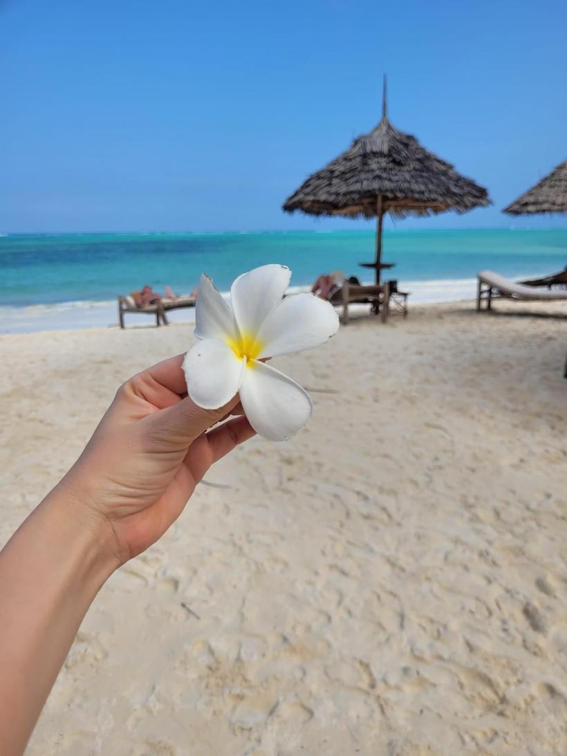 „Județul Zanzibar” nu crede în malarie 18883692