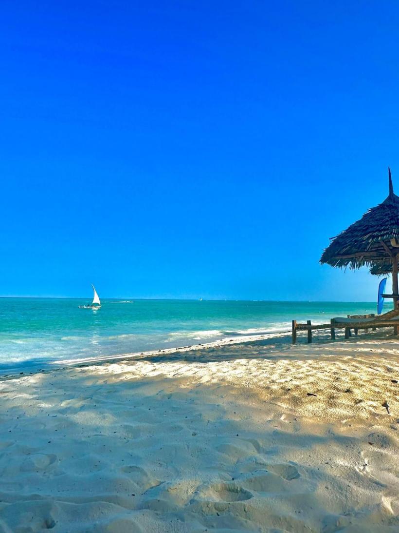 „Județul Zanzibar” nu crede în malarie 18883694