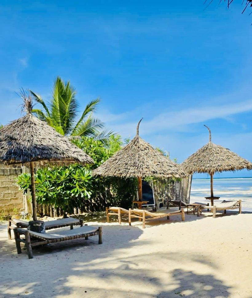 „Județul Zanzibar” nu crede în malarie 18883695