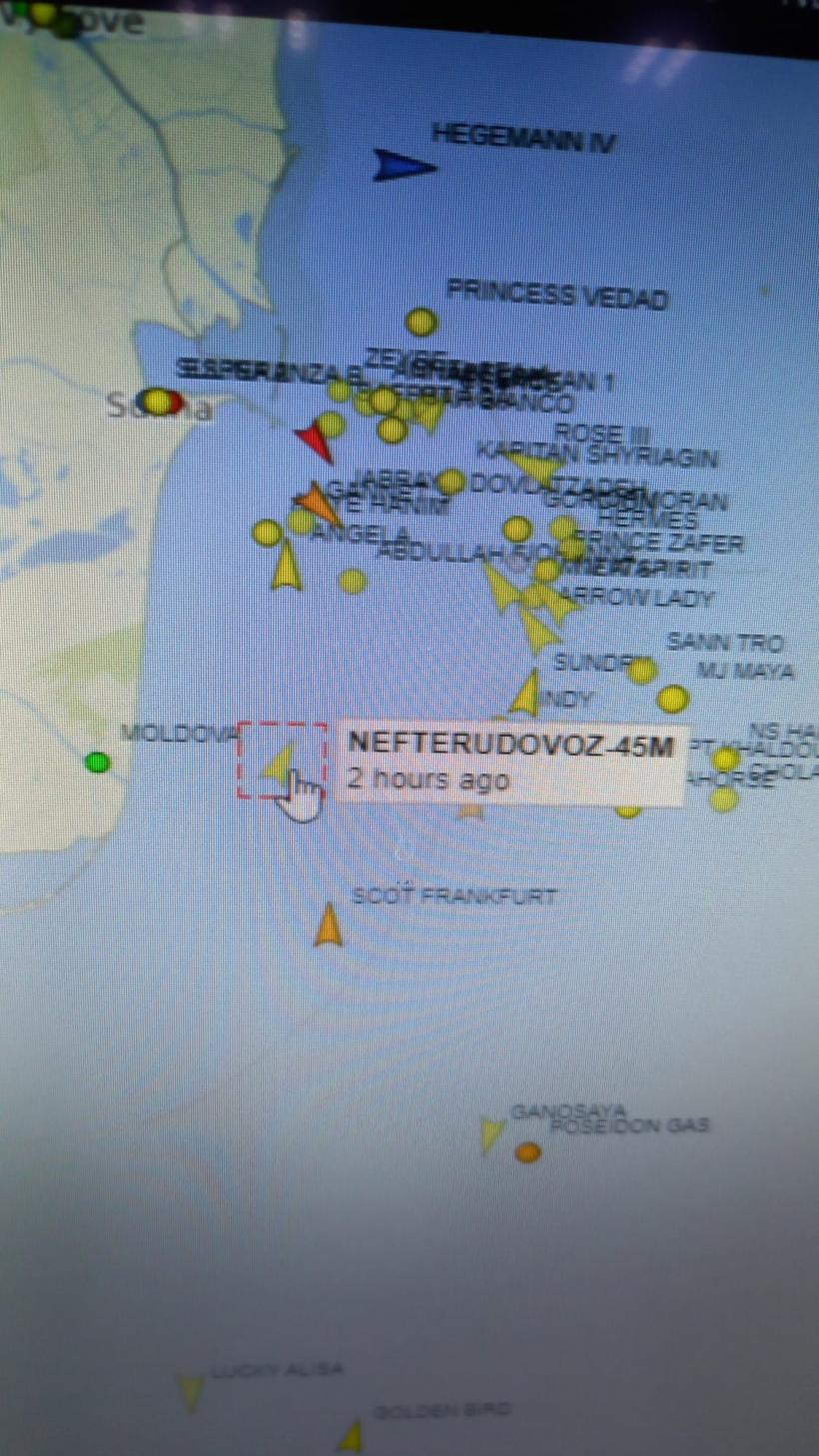 Accident în Delta Dunării. Un om a căzut de la bordul unei nave ucrainene 18883974