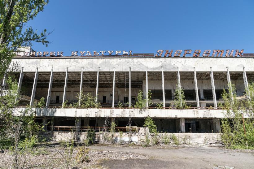 Descoperire uimitoare în medicină. Lupii de la Cernobîl au dezvoltat imunitate la cancer 18883995