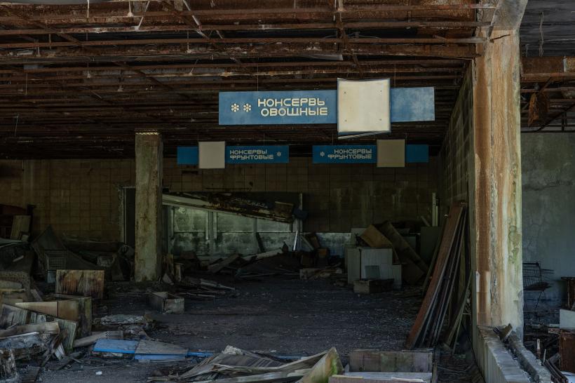 Descoperire uimitoare în medicină. Lupii de la Cernobîl au dezvoltat imunitate la cancer 18883996