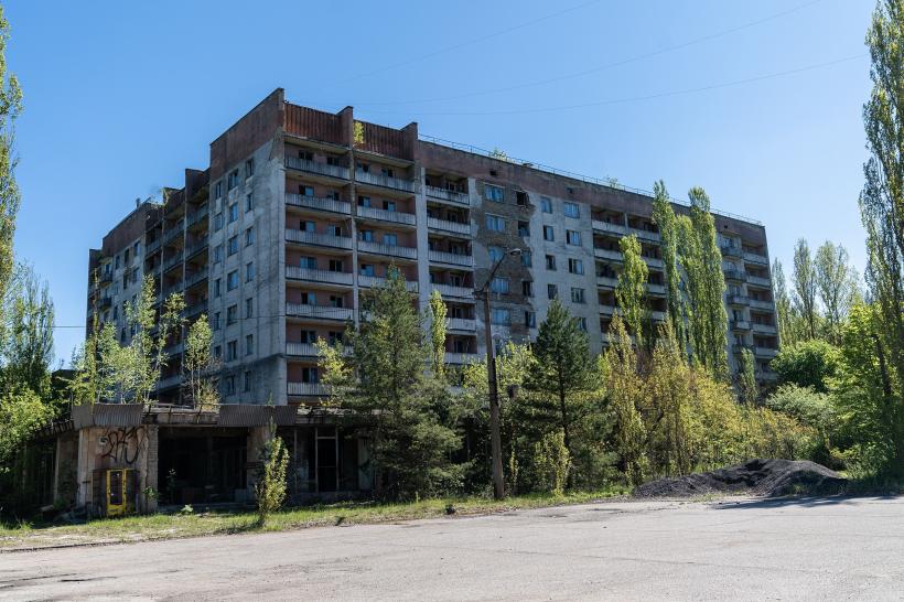 Descoperire uimitoare în medicină. Lupii de la Cernobîl au dezvoltat imunitate la cancer 18883997