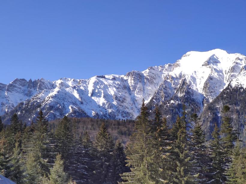 Ingineria prin care școala de ghizi se poate reduce la 3 zile 18884085