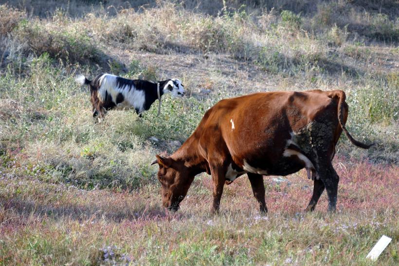 UNESCO: repornirea turismului din Ucraina va costa 9 miliarde de dolari 18884451