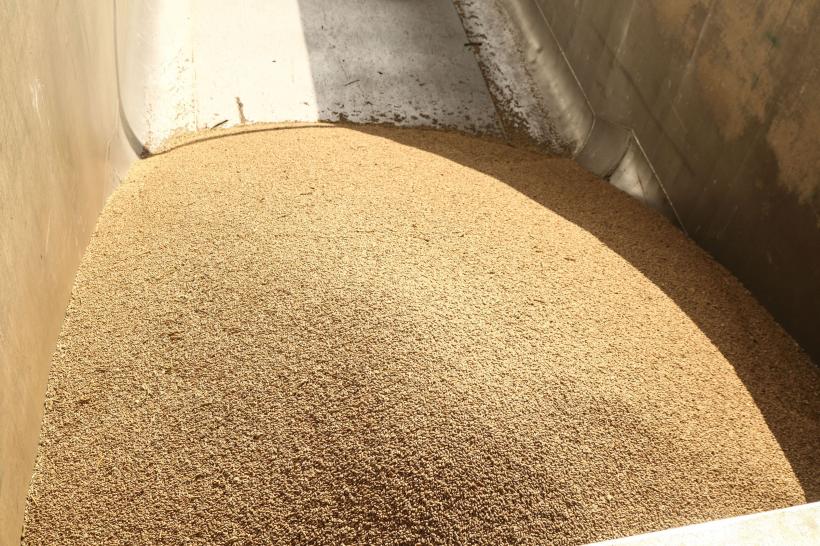 Ucraina este pe cale să exporte toate cerealele din recolta 2023 18884448