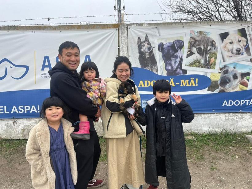 O familie de japonezi a adoptat un cățeluș din Bragadiru 