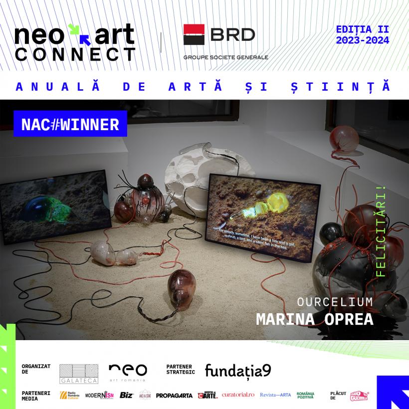 Neo Art Connect anunță câștigătorii Programului de Burse și Mentorat în valoare de 5000 de Euro 18885202