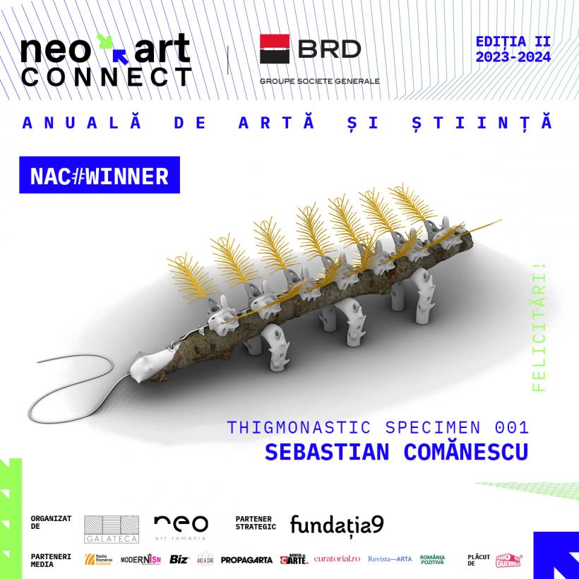 Neo Art Connect anunță câștigătorii Programului de Burse și Mentorat în valoare de 5000 de Euro 18885457
