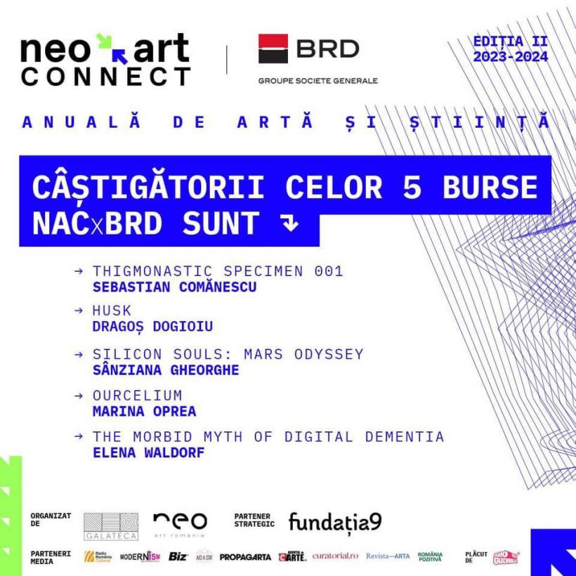 Neo Art Connect anunță câștigătorii Programului de Burse și Mentorat în valoare de 5000 de Euro 18885461