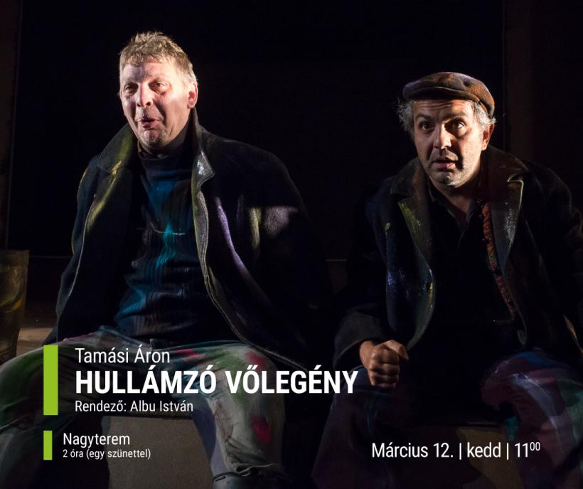 O primăvară cu spectacole extraordinare la Teatrul Tamási Aron 18885875