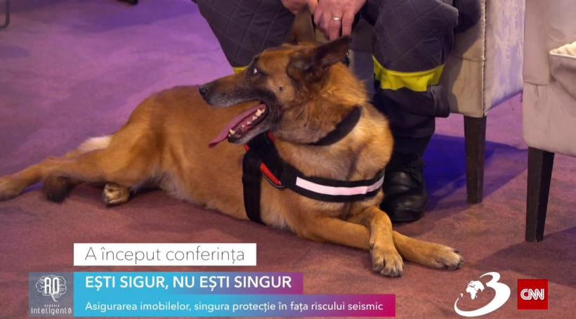 Conferința națională „EȘTI SIGUR, NU EȘTI SINGUR - Asigurarea imobilelor, singura protecție în fața riscului seismic” 18886444